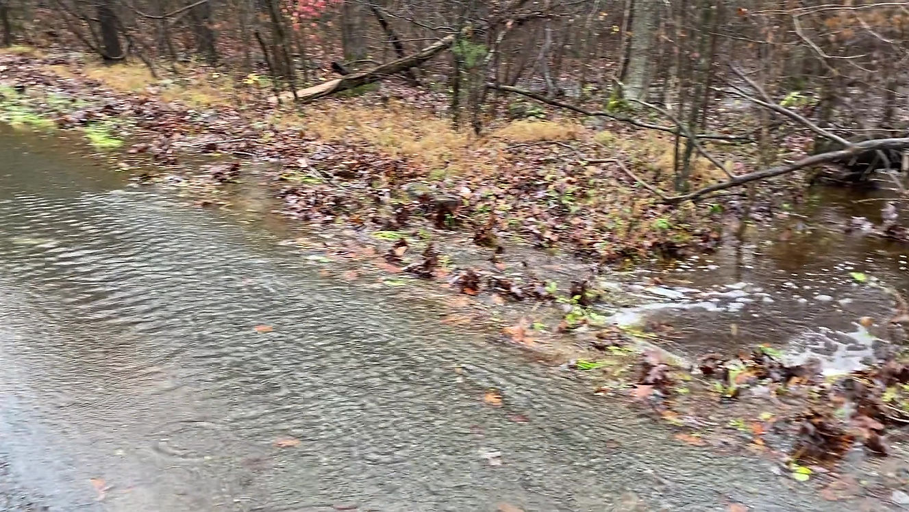 Culpeper Rainfall Flooding - Video 3/5